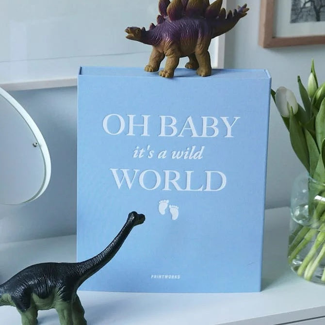 Photo Album Bbay It's a Wild World